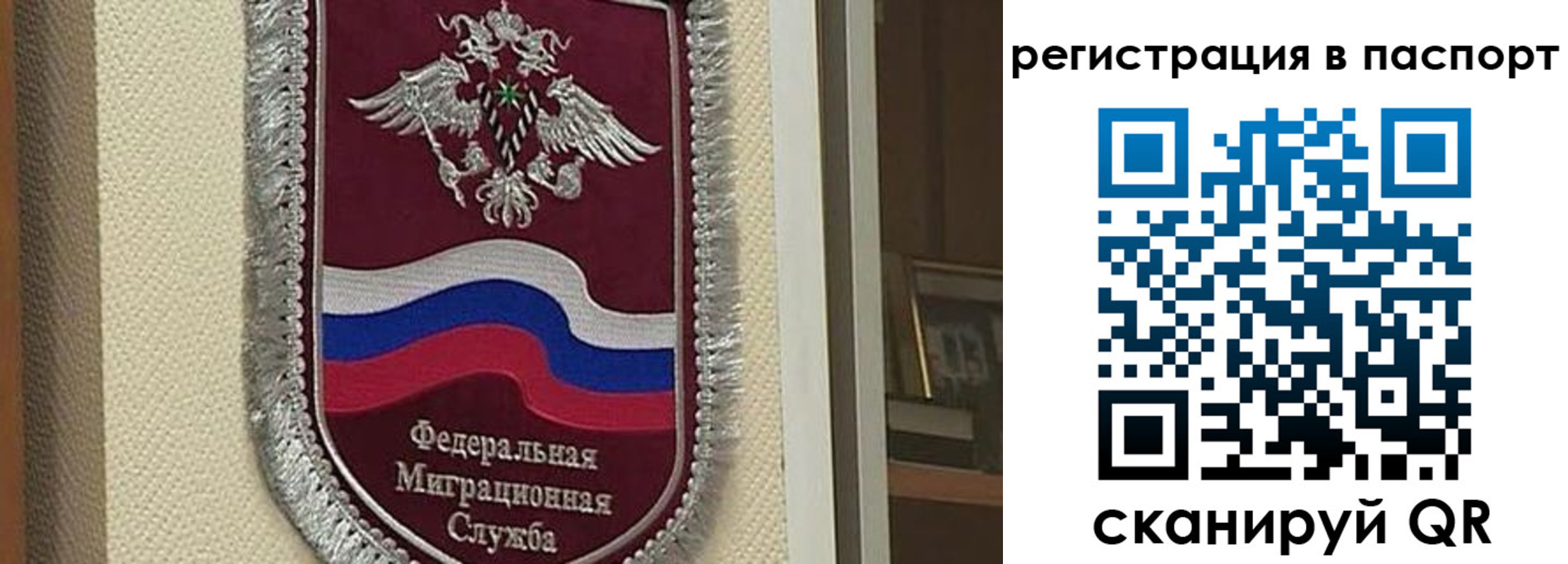 прописка законно в Пересвете